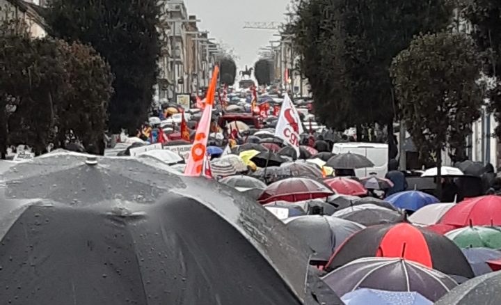 WhatsApp Image 2023-01-19 at 17.16.41