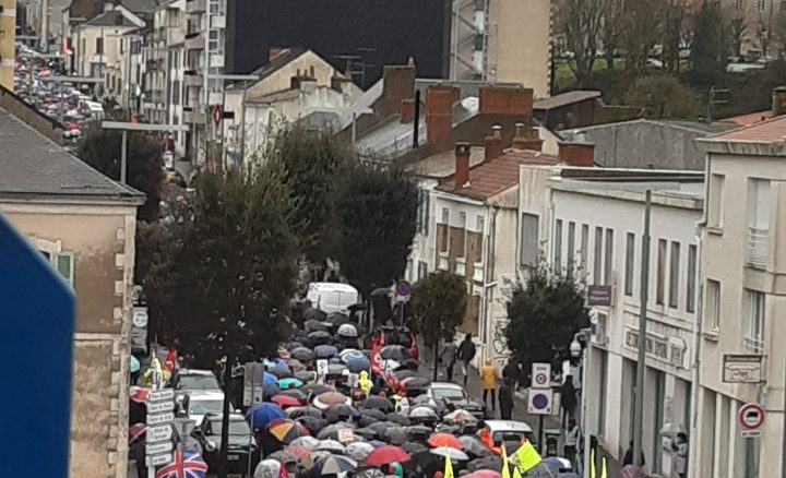 WhatsApp Image 2023-01-19 at 17.18.01